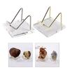 Multipurpose Crystal Display Stand Multifunction School Office Restaurant