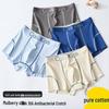 Premium Pure Cotton Antibacterial Briefs for Boys, Ages 10 and Up