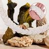 2PCS Hermit Crab Climbing Toys Hermit Crab Accessories Climbing Rope with 4 Hooks Hermit Crabs Habitat Decor for Leopard Gecko Lizards Geckos Snakes