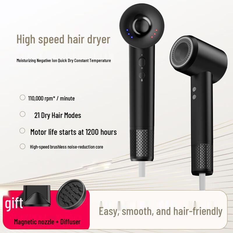 Lanx High-Speed Negative Ion Hair Dryer CN plug (adapter included)
