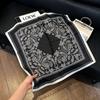 New old money wind chain neck scarf women's commuting versatile soft silk scarf neck protection shawl outer scarf