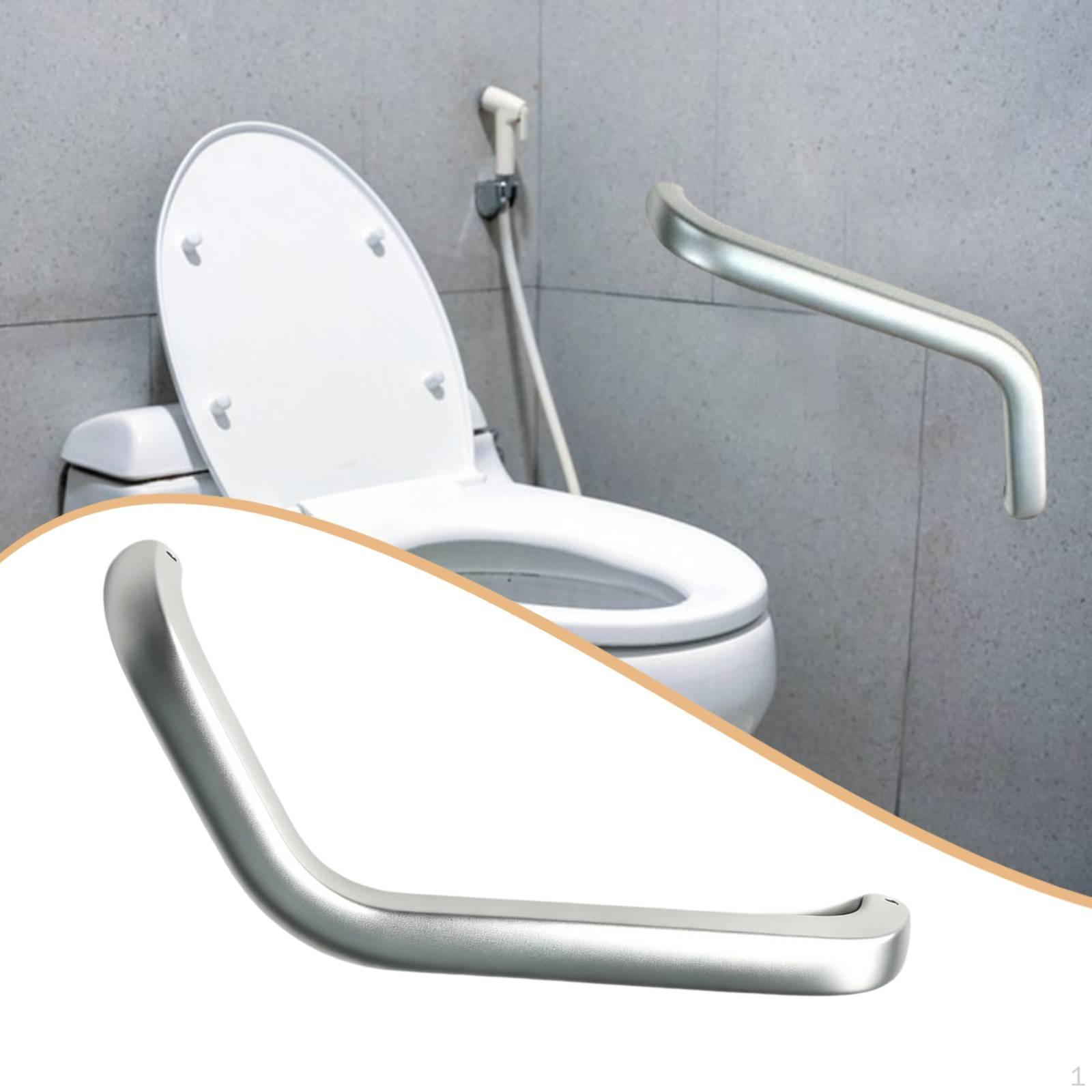 RV Grab Bar Automotive Entry Grip