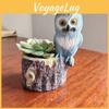 Modern Minimalistisk Uggla Planteringskruka Dekorativ Resin Hem Och Trädgård Hantverk Presentidé