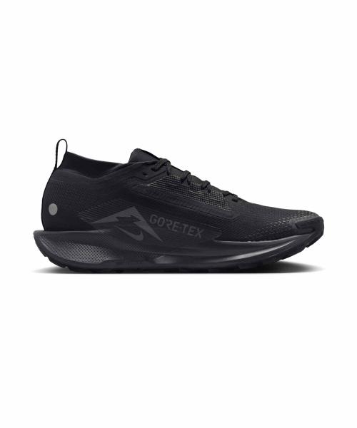 Nike Pegasus Trail 5 GORE-TEX M [FQ0908-002]
