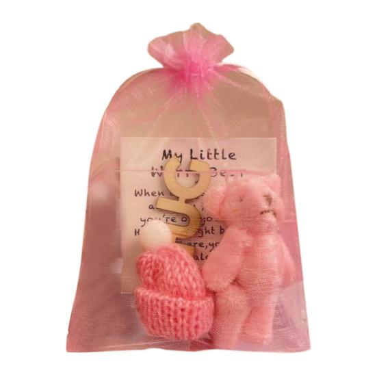 Pocket Hug Plush Bear Toy with Encouragement Card Mesh Bag Mini Positive Stuffed Bear Doll with Knitted Hat Inspirational Gift