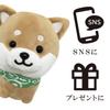 Traveling Mameshiba Mascot Shiba Soothing Cushion, Cute, Squishy, Fluffy, Inu, Mameshiba, (Brown, Mame-ta)