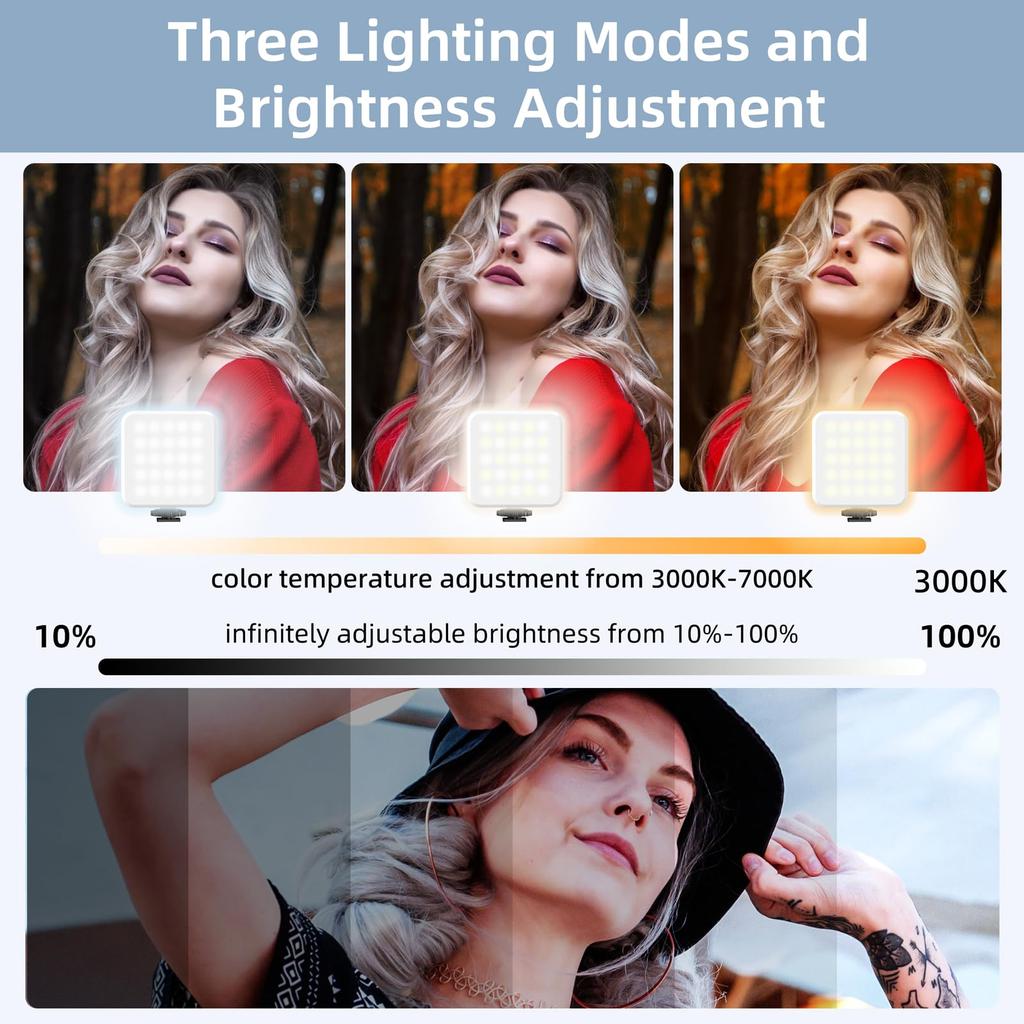 Zeadio Camera Stabilizer Kit, All-in-One Handheld Stabilizer with LED Video Light, Microphone, Smartphone Holder, and Action Camera Adapter - Compatib