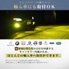 Fcl. H3 H3C LED Fog Lamp, Bulb, Lime Yellow, 10,000 Lm, Compatible with Vehicle