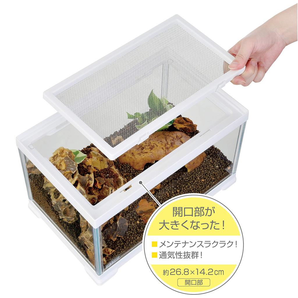 GEX EXOTERRA Reptilia White 300 High Glass Cage for Small White W X 20cm D X Reptile Amphibian Breeding Cage Reptiles, Frame, 31.6cm 28.2cm H, &