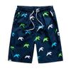 Men's Swim Trunks Quick Dry Beach Surfing Running Swimming Drawstring Shorts