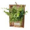 Wall Framed Artificial Plant Faux Greenery Plant in Frame Wall Decor Hanging