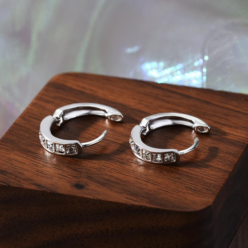 Fashion Earrings Light Luxury Earrings Versatile Temperament High-end Earrings