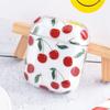 Fruit Theme Cover for Pods/Pods Pro2/Pods 3 Earbuds Charging Case Shockproof Easy to Clean Stain Resistant