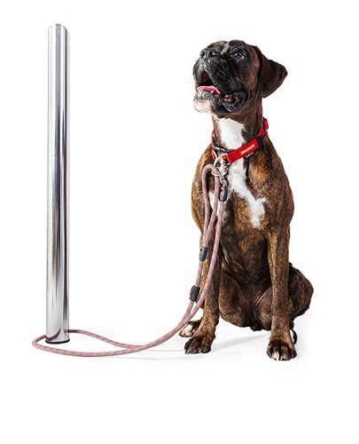 EZYDOG (Authorized Distributor) Marine Dog Leash, Orange, 170cm