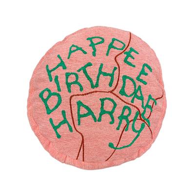Marushin polštářek Harry Potter narozeninový gobelín Vtipný dárek Dárek k narozeninám 4105030800 Harryho