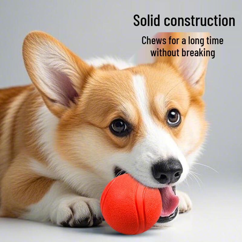 Dog Solid Rubber Training & Chew Ball