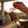 Garden Bird Deterrent Device With Acrylic Eagle Design For Yard Protection