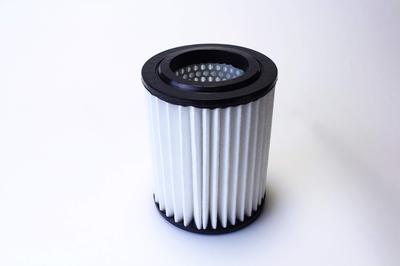 Φίλτρο Αέρα Honda VIZ για Stream Μέρος Φίλτρου Αέρα RN3/RN4 (2000/10-2006/07) (Αριθμός OEM 17220-PNB-003 / 17220-PNA-003) (C17220PNB003-008)