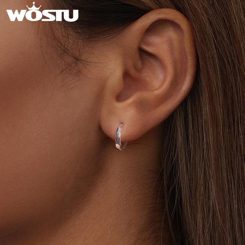 WOSTU 925 Sterling Silver Simple Geometric Hoop Earrings For Women Minimalist Jewelry European Pendientes Party Gift