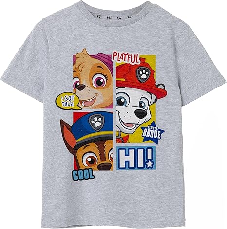 PAW PATROL Boys Grey Short Sleeve T-Shirt | Paw-Some Peekaboo - A Cool T-Shirt for Little Adventurers | Join the Puppy Patrol 160