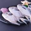 Sandugang Eastern Sea Pomfret Fish