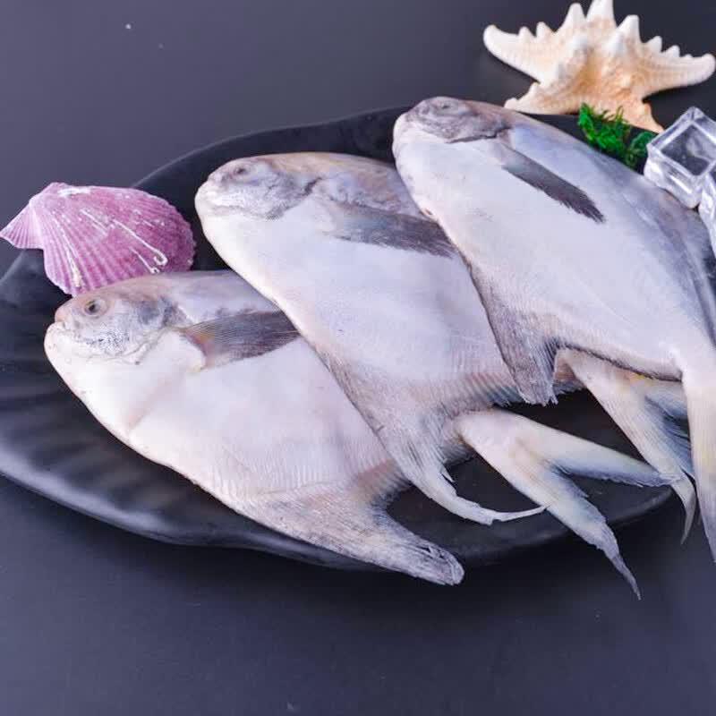 Sandugang Eastern Sea Pomfret Fish