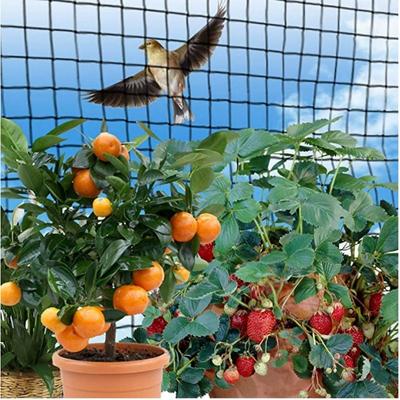 15M Grape Orchard Bird Proof Net Greenhouse Fish Pond Breeding Protection Nylon Mesh Animal Proof Net Orchard Bird Blocking Net