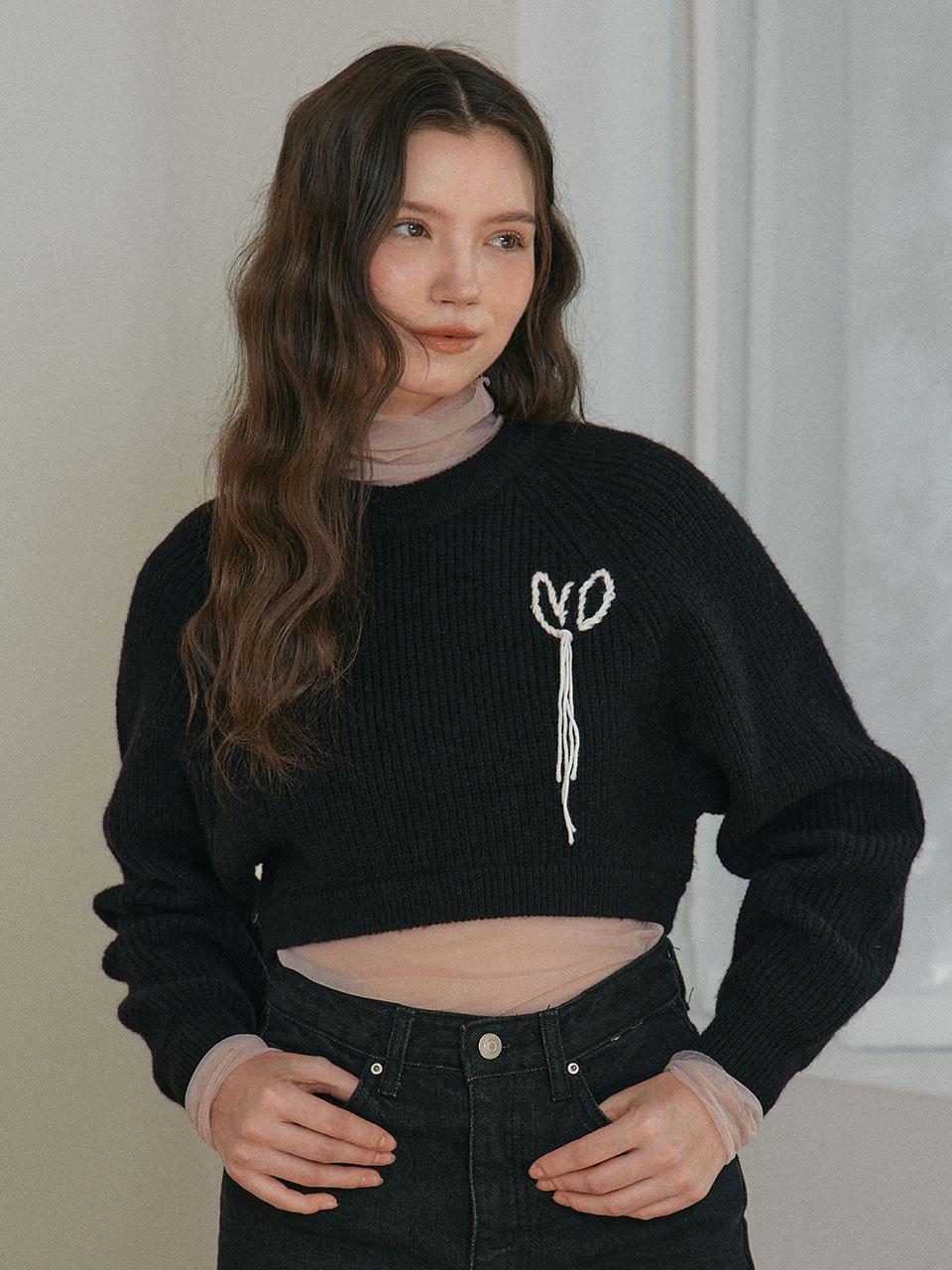 Near And Dear Crop Hazzi Pullover_Black Black/Free