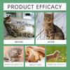 YEGBONG Cat Grass Tablets (80 Tables) - Improves Gastrointestinal Function and Protects Pet Health with Dietary Fiber.