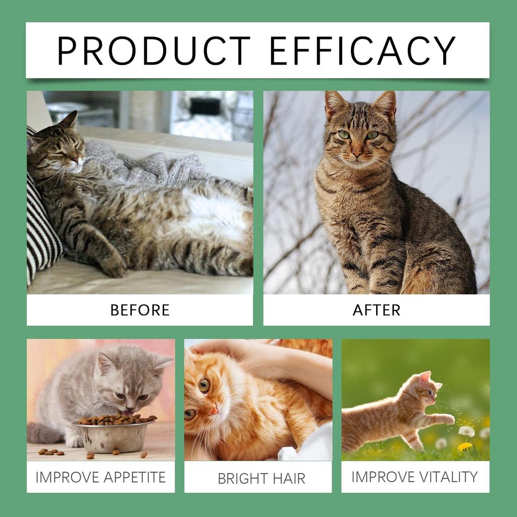 YEGBONG Cat Grass Tablets (80 Tables) - Improves Gastrointestinal Function and Protects Pet Health with Dietary Fiber.