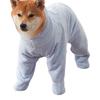 Soft Dog Towel, Quick-Drying Dog Bathrobe | Cozy Small Dog Towel for Bathing, Blue, Size M, Absorbent Material