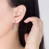 Boucles d'oreilles longues élégantes en diamant zircon: Crochets d'oreille simples, doux et élégants