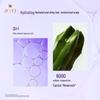 Ryo Hyaluronic Acid Aqua-Shine Volumizing Moisturizing Shampoo