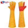 Professional Animal Handling Gloves