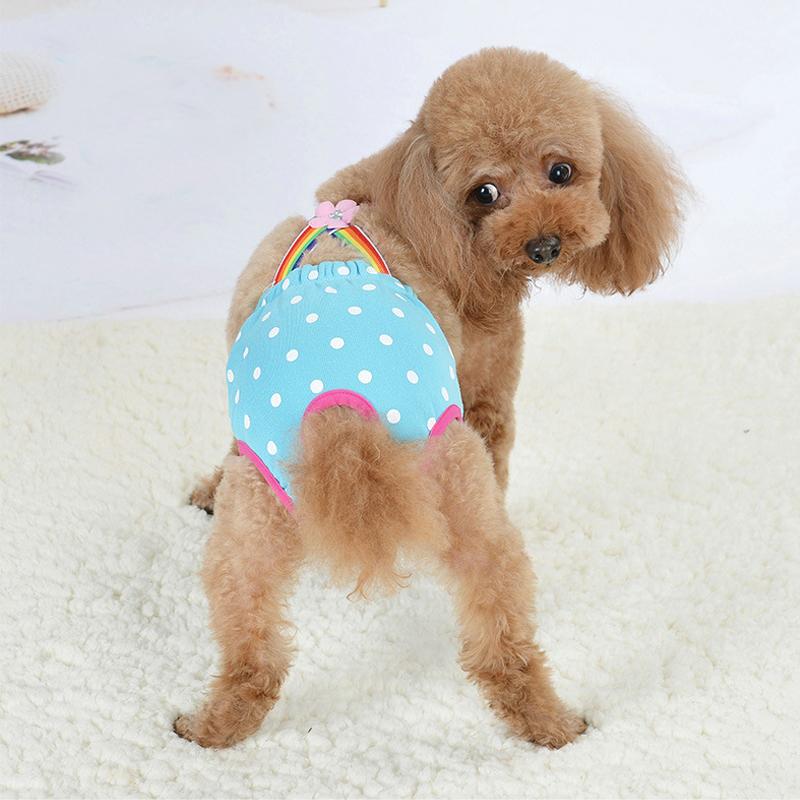 doggy knickers