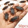 50pcs Trick Simulation Cockroach Toys Lifelike Cockroach Prank Toys  April Fool's Day