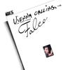 12inch Record FALCO  Vienna Calling The Tourist Version SP23034 AM Records 1985 Canada Dance  Electronica Used