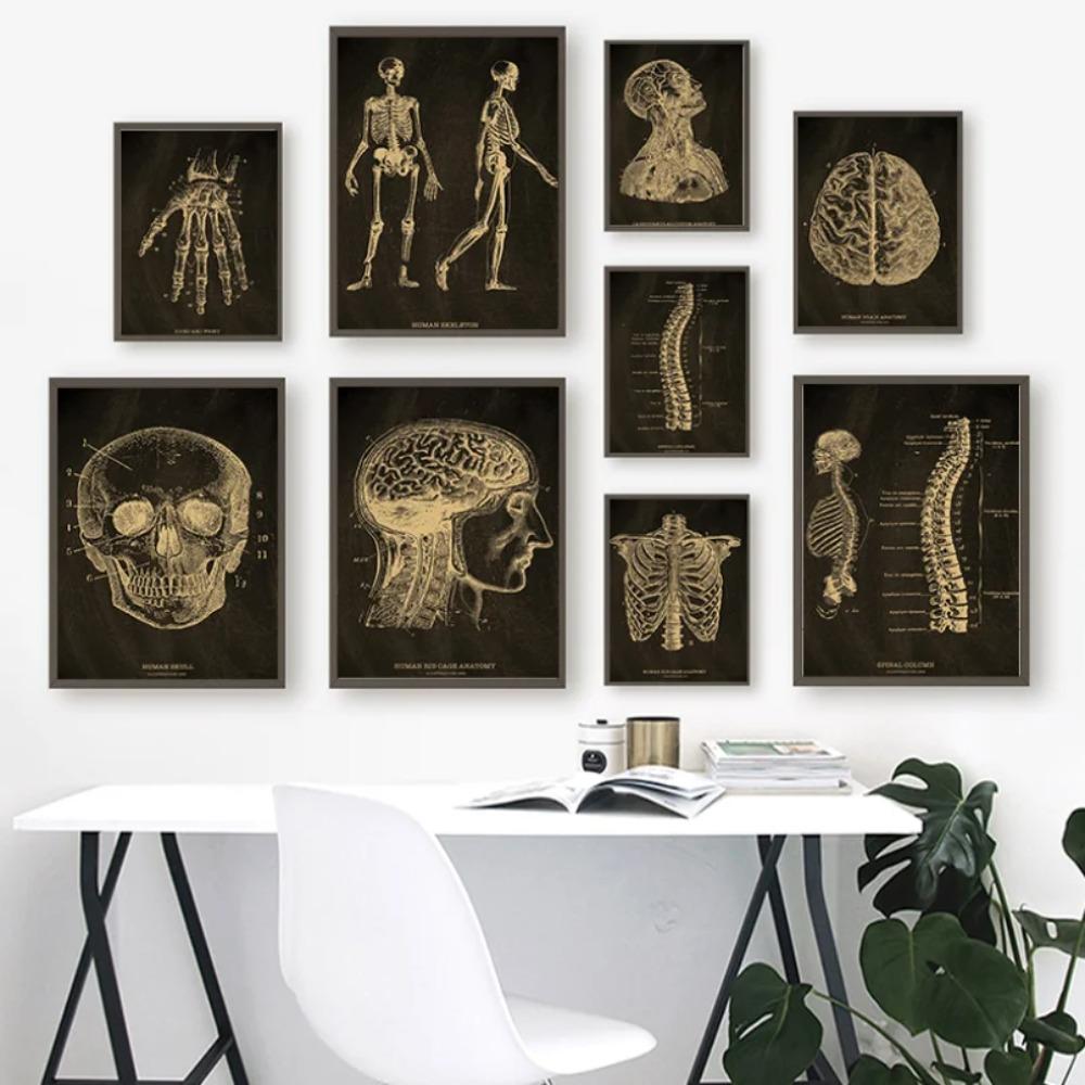 Anatomical Skeleton Chalkboard Poster Kraft Paper Posters DIY Vintage Home Room Medicine Student Decor Medical Art Wall Painting