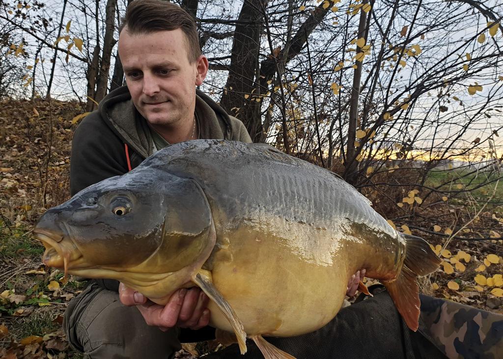 Carp food perfection mini pop-up kulki pływające 12mm/30g total scopex