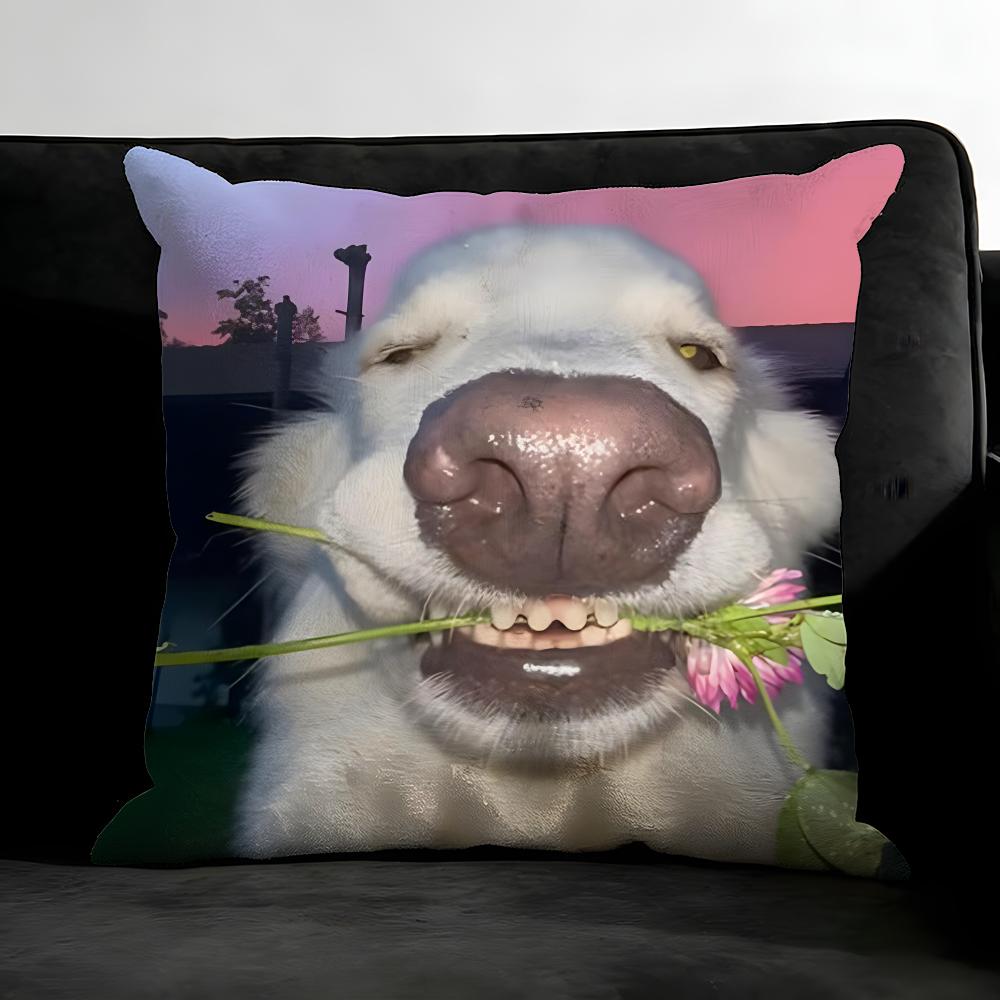 

Funny Dog Cushion Cover Pillowcase Ultra Soft Skin Friendly Fabric Cloud Like Comfort Concealed Zipper 30x30cm