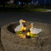 American Animal Resin Duck Solar Lamp for Outdoor Garden Decor