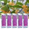 Perfume Sticks 5Pcs Aromatherapy Strong Fragrance Solid Aroma Supplement Air Fresheners Scents Car Refills Replacement Automobile Supplies Essential