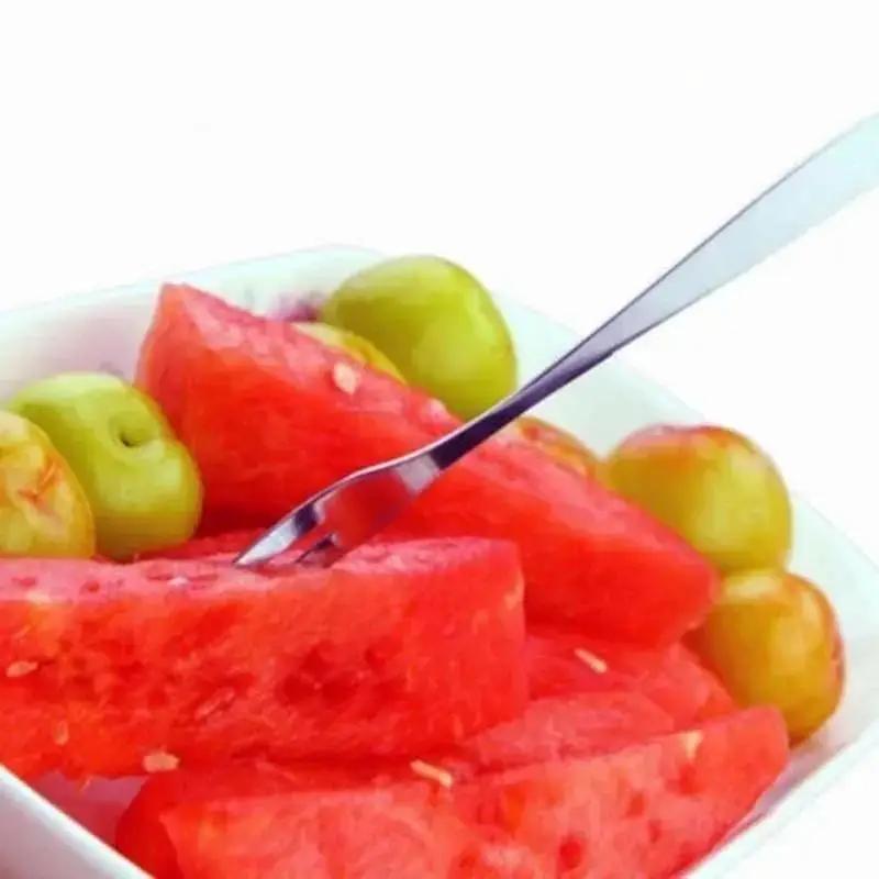 New 4 Pcs Kitchen Tools Cocktail Dessert Fork Tasting Stainless Steel Appetizer Cake Fruit Fork Food Pick Accessories Supplies