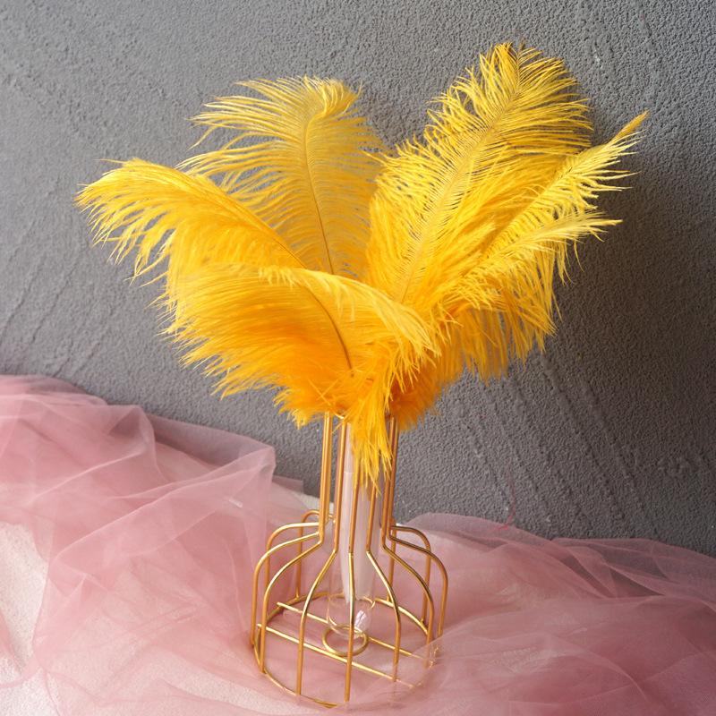 Color 20-25Cm Ostrich Hair Vase Ornament Wall Feather Decoration Hand Bouquet Flower Arrangement Diy Material