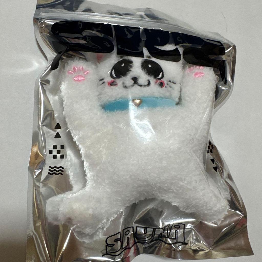 [USED] straykids POPUP Bag Charm Felix with Bonus