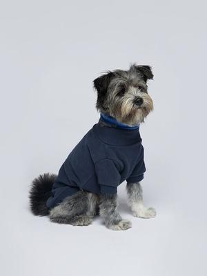 Giyim ve ayakkabı – Köpekler için kazaklar