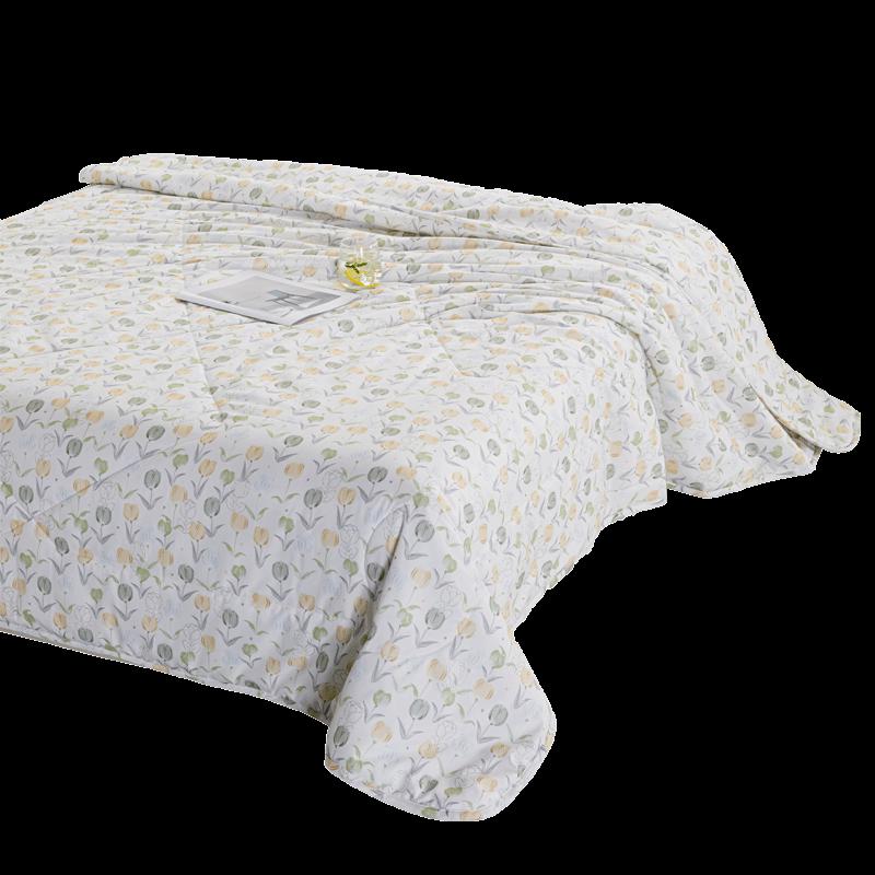 Hengyuanxiang Spring Garden All-Season Pillow Quilt