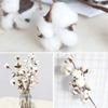 10 Heads Fake Flower Home Decor Floral Branch Cotton Stem Dried Cotton Flower Artificial Plants