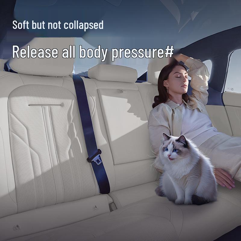 BYD N8L DM Kopfstütze & Lendenwirbelstütze: Nackenkissen & Auto-Innenraumdekoration