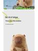Capybara U-förmiges Nackenkissen: Multifunktionaler Halter für Auto, Büro und Reisen.